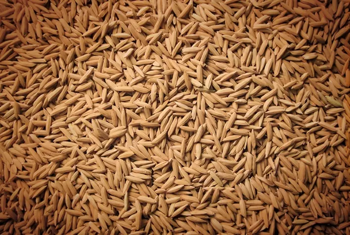 Arroz: Indicador opera na casa dos R$ 86/sc