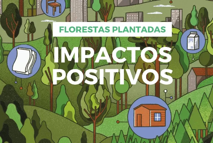 Apre lança vídeo sobre os impactos positivos das florestas plantadas