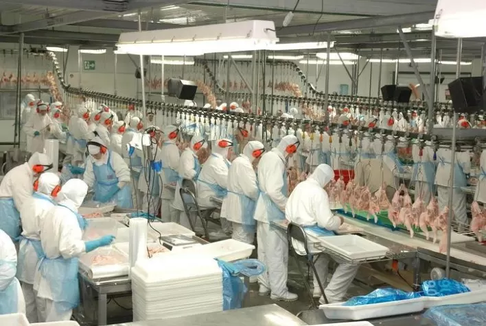 Com AM e RR, Região Norte é a única a obter aumento de volume e de receita na exportação de carne de frango