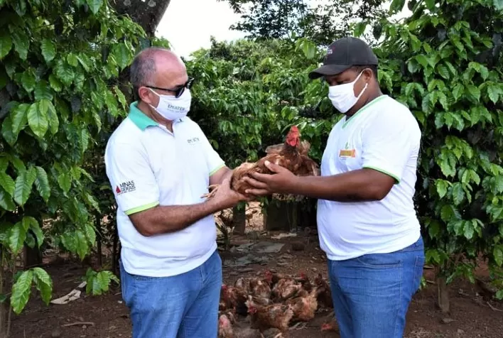 Prazo de validade da DAP é prorrogado por causa da pandemia