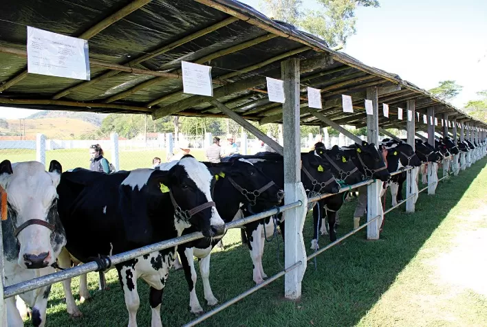 Governo de Goiás publica portaria que define critérios para a realização de leilões virtuais de animais no Estado