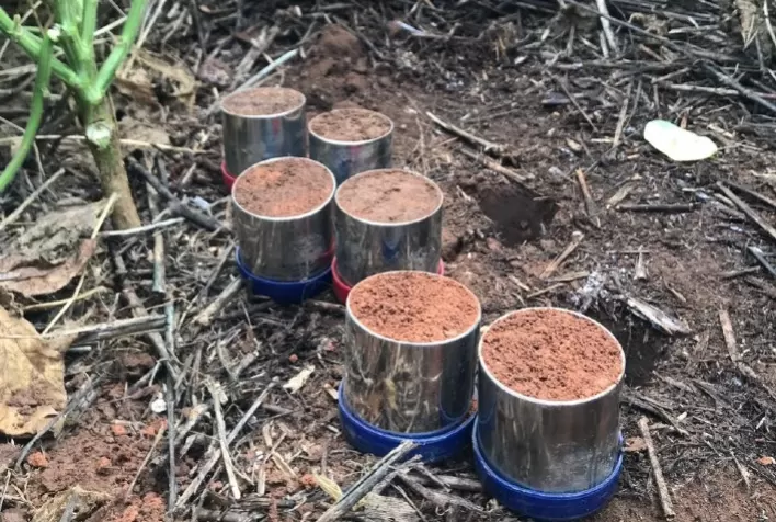 Projeto para Pagamentos por Serviços Ambientais vai compilar dados de 53 propriedades rurais