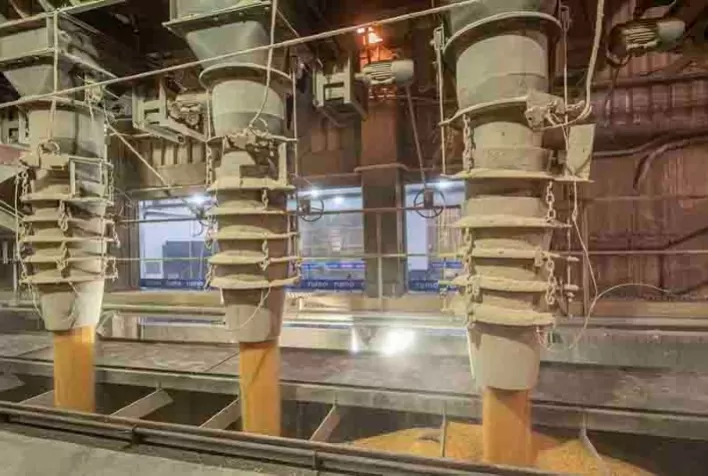 CNA defende no STF construção da Ferrogrão para reduzir custos logísticos