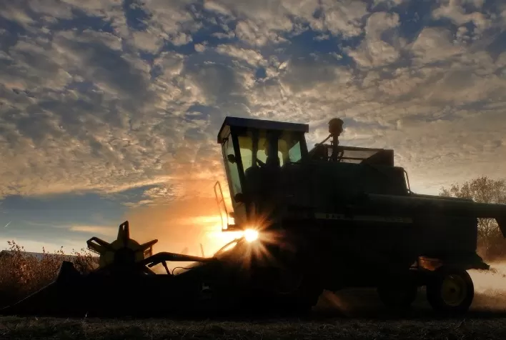 Colheita de soja no Paraguai atinge 95% da área