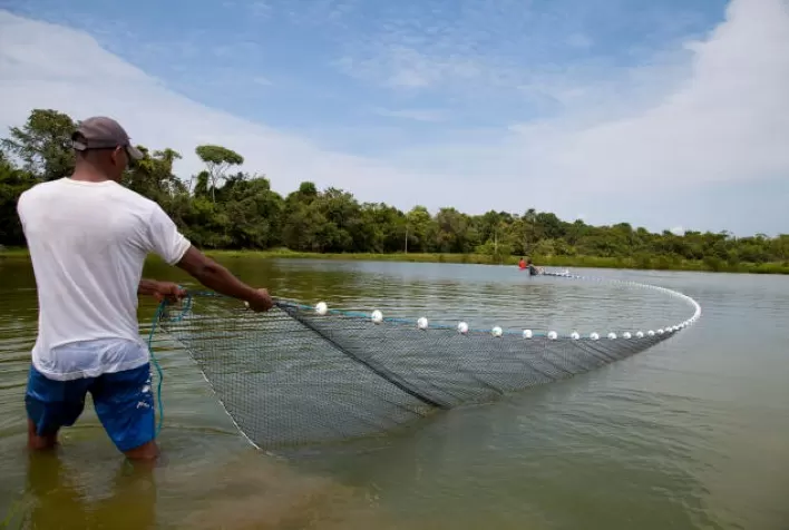 Piscicultura em água doce é mais acessível e sustentável