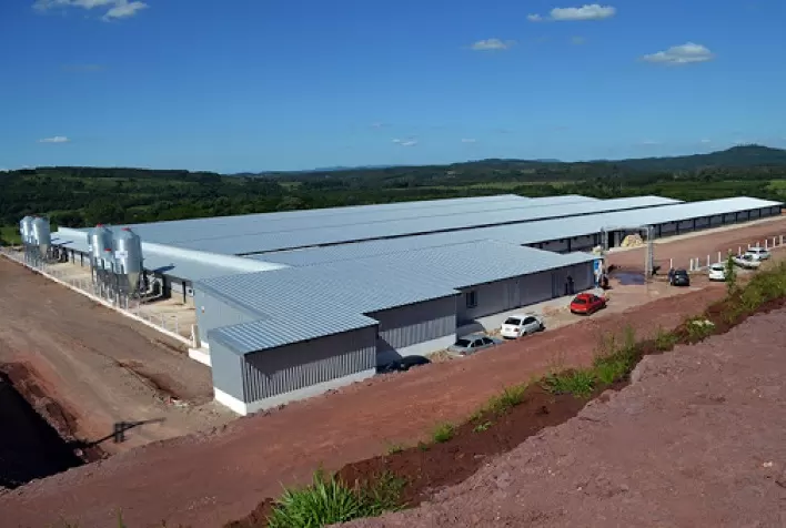 Cobb-Vantress destaca manejo para redução de perdas na avicultura no SBSA, dia 6, 19h