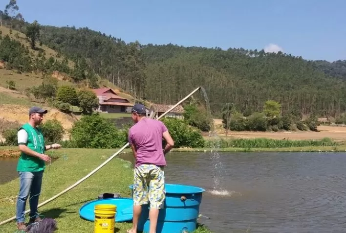 Planejamento e dieta de qualidade ampliam resultados na produção de pescados