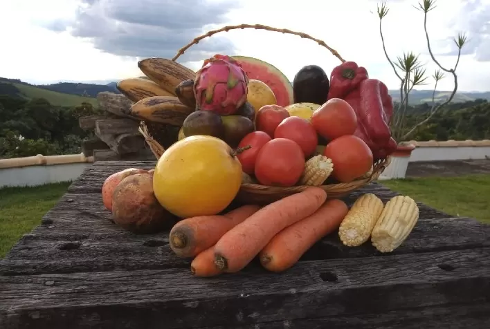 “Análise de resíduos é um processo rigoroso e complexo, mas indispensável para ter alimentos saudáveis e seguros para os consumidores”, explica especialista do AgroSafety