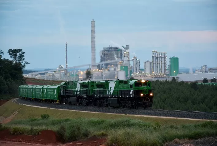 Transporte ferroviário de celulose para o Porto de Paranaguá cresce 26%