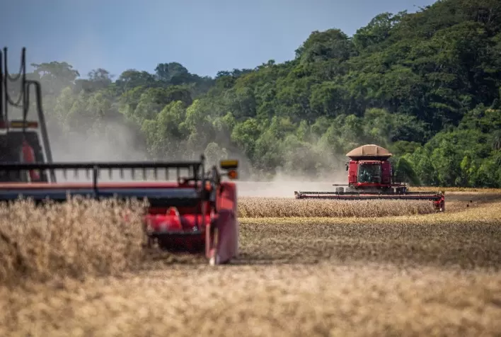 Setor agropecuário gera mais de 1,4 mil novos postos de trabalho em Goiás, em fevereiro