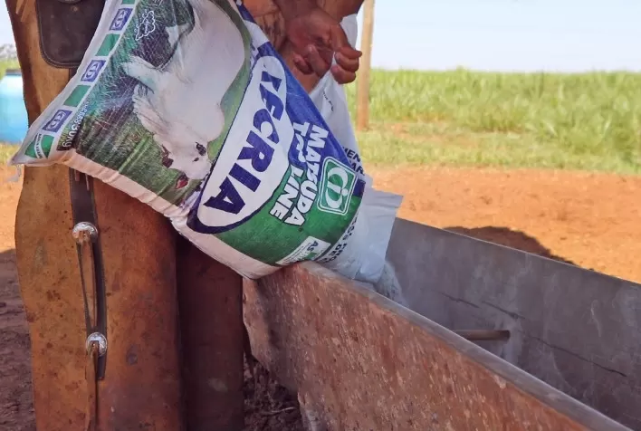 Nutrição animal: Cinco dicas de como utilizar bem o suplemento mineral