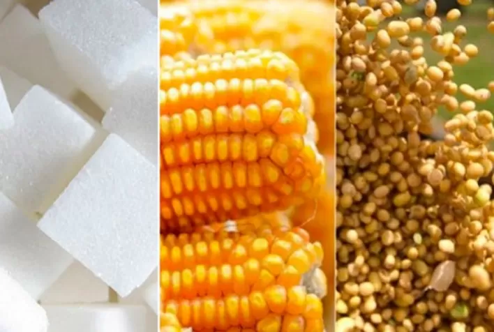 Commodities Agrícolas: Acumulado do ano pode ser até 75% menor em 2021