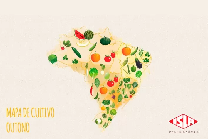 Mapa de Cultivo Outono: saiba o que plantar nesta estação na sua região