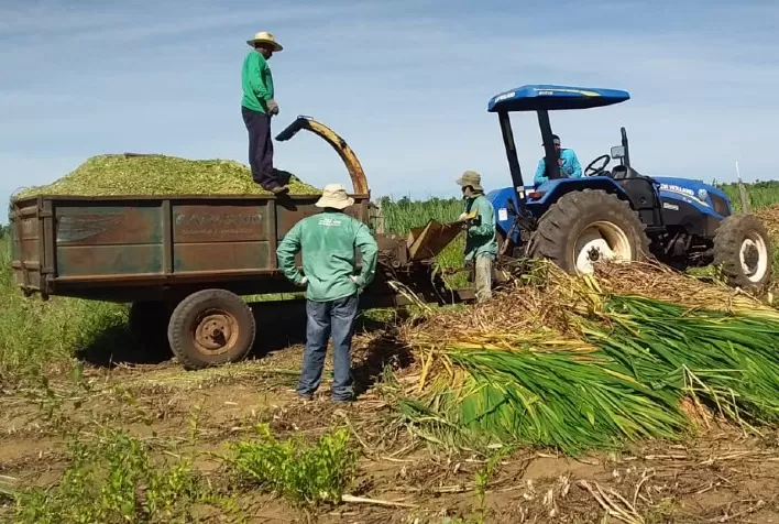 Trabalhador rural atendido pela Emater-MG vira empreendedor no Noroeste de Minas