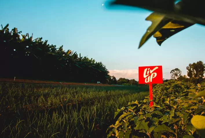 Liv Up é reconhecida por selos que valorizam o trabalho com agricultores em São Paulo