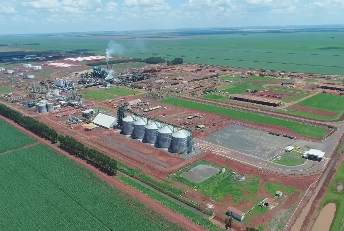 CerradinhoBio encerra safra 2020/21 com resultados sólidos