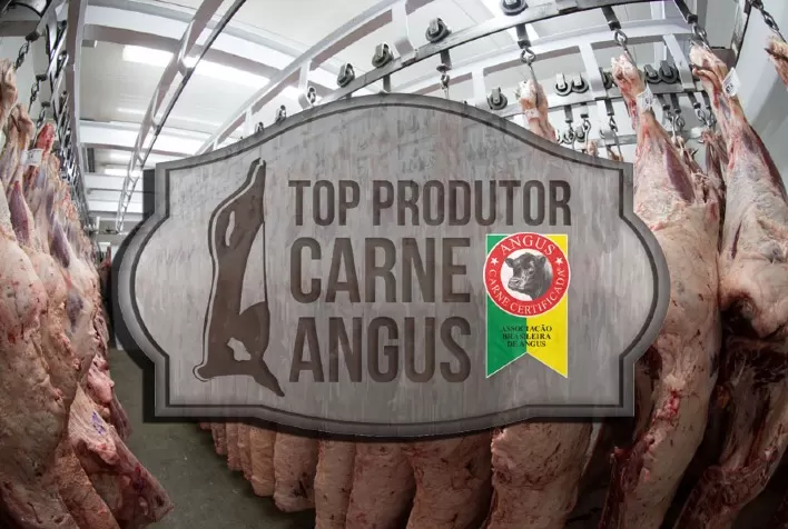 Associação lança Prêmio Top Produtor Carne Angus