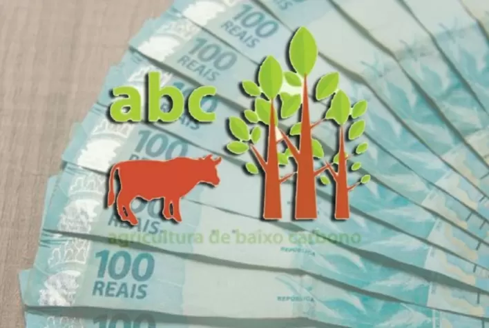 Crédito Rural: BNDES reabre pedidos de financiamento dentro do plano ABC