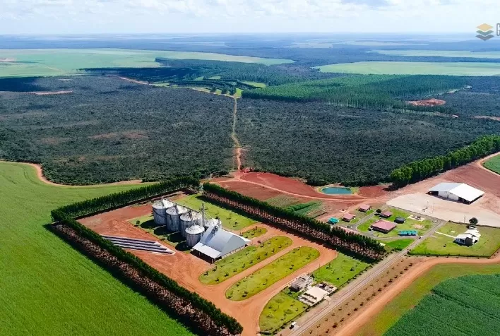CAT lança Projeto Produzindo Valor para levar boas práticas sustentáveis a produtores de soja de Sorriso