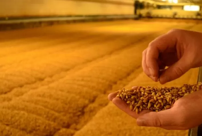 Projeto de construção de maltaria no Paraná tem previsão de investimento de R$ 1,5 bilhão