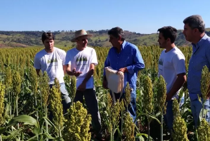 Capacitações on-line da Embrapa Milho e Sorgo superam 100 mil inscritos