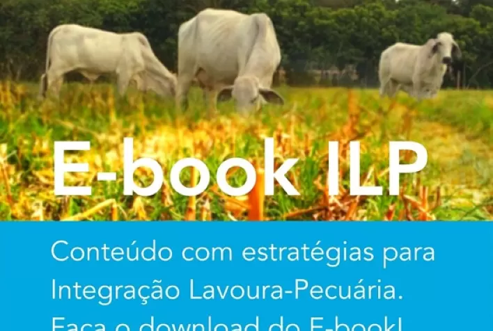Barenbrug lança E-book com estratégias, benefícios e orientações sobre a Integração Lavoura-Pecuária (ILP)