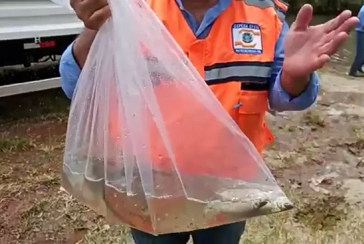 Microbacias do rio Abaeté em MG recebem 5º repovoamento da Codevasf com espécies nativas