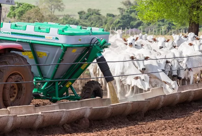 Tecnologia para manejo nutricional de bovinos à pasto é tendência para aumentar resultados em 2021