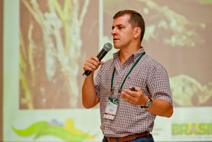 Como diferentes sistemas podem beneficiar o produtor no manejo de doenças e pragas na cultura do feijão