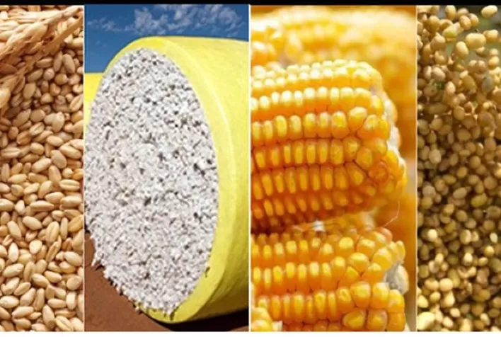 Alta das commodities deve ser aproveitada para investimento em produtividade do agronegócio