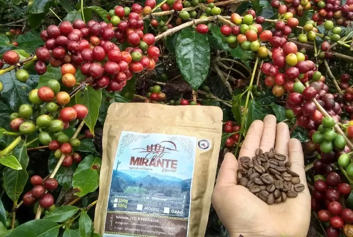 Empreendedores rurais são responsáveis por 25% do agronegócio brasileiro