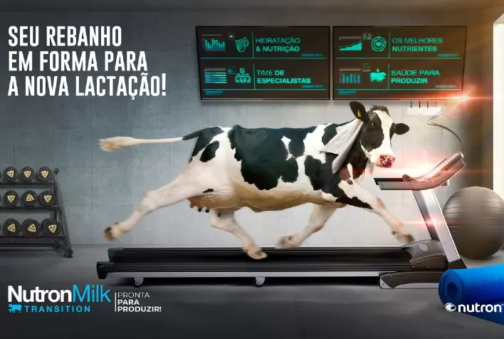 Cargill Nutrição Animal apresenta o Programa NutronMilk Transition