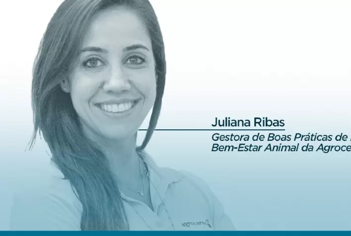 Agroceres PIC: Bem-estar animal como prioridade máxima
