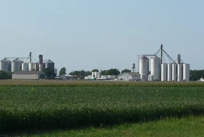 Avaliação econômico-financeira é essencial para os negócios de produtores e agroindústrias