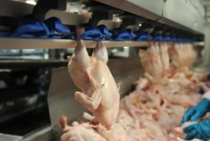 Na exportação, preço do frango inteiro supera o dos cortes pelo segundo mês consecutivo