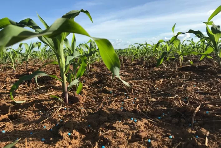 Nutrição de plantas: Bioestimulante 100% natural, com tecnologia ítalo-japonesa, fomenta aumento de produtividade em várias culturas