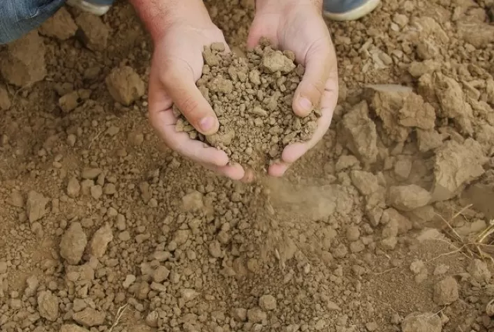 Mais de 25 mil agricultores familiares irão receber benefício do Garantia-Safra em abril