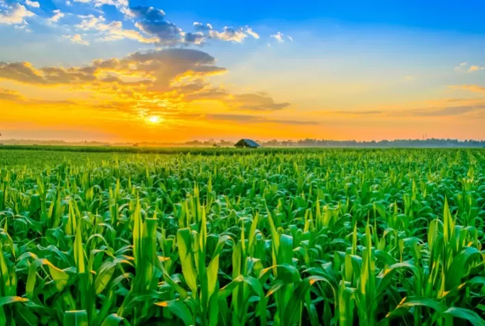 FAESC reconhece a importância da EPAGRI na divulgação da produção agropecuária