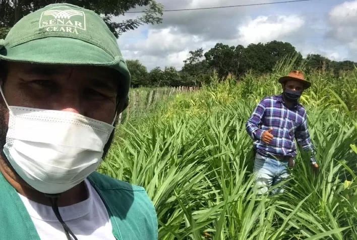 Ovinocaprinocultura de Cedro, no Ceará, obtém bons resultados da Assistência Técnica do Senar no AgroNordeste