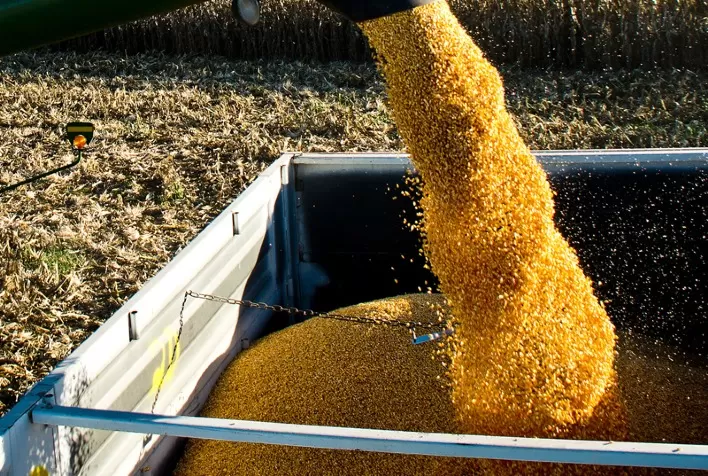 Milho abre a terça-feira mantendo altas na B3