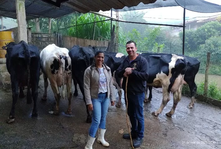 Casal revoluciona a produção leiteira após quase desistir da atividade