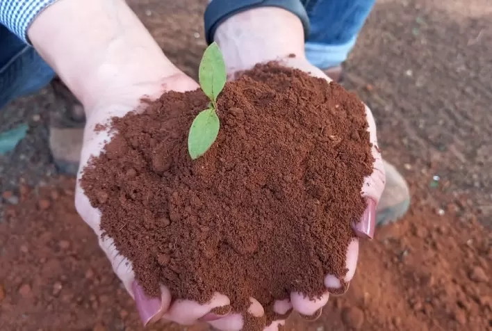 Projeto inédito para análise da biologia do solo tem início no Brasil