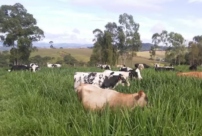 Emater-MG leva novas tecnologias a pecuaristas de Santa Rita de Caldas, no Sul de Minas