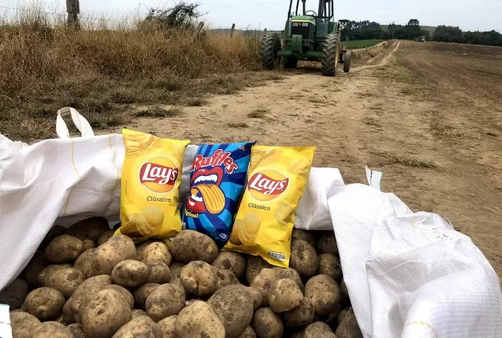 PepsiCo anuncia meta de implantar práticas agrícolas regenerativas em 2.8 milhões de hectares até 2030