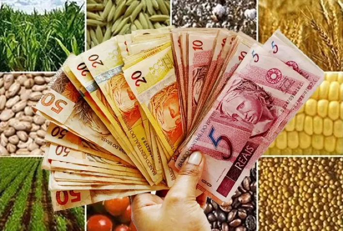 IPPA/CEPEA: preços agropecuários sobem no 1º tri de 2021 frente mesmo período de 2020, mas desaceleram em relação ao tri anterior