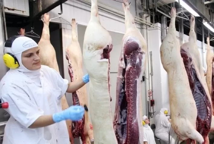 Em 15 dias úteis, exportação de carne suína supera em mais de 20% receita e volume de todo abril/20