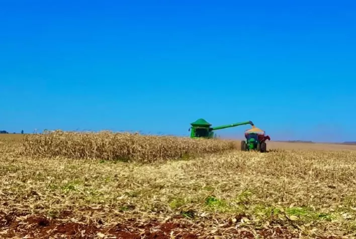 Aprosoja/MS divulga custo de produção o milho 2020/2021
