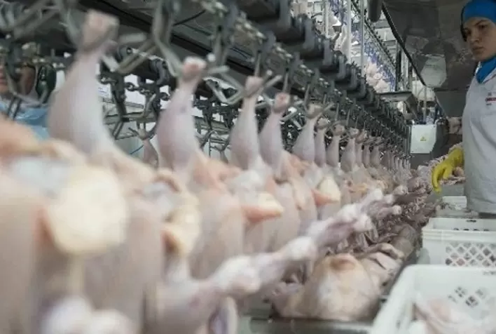 Carne de frango completou o trimestre inicial de 2021 mantendo o 8º lugar na pauta cambial