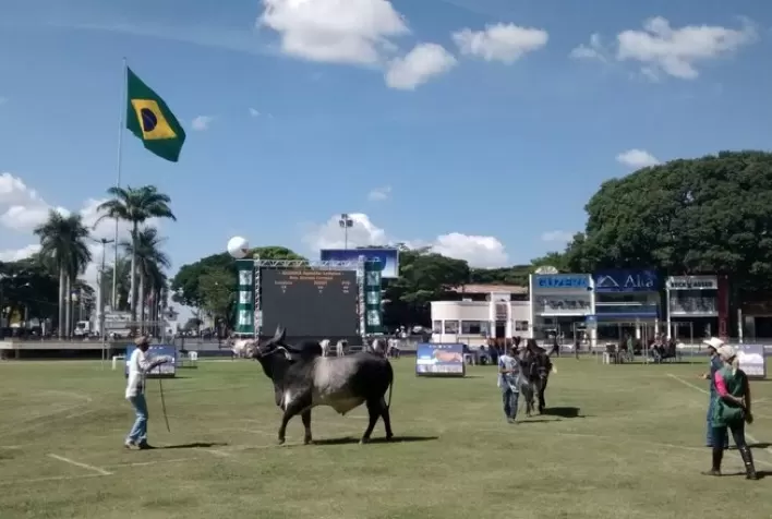 Alta Genetics prepara ações para participação na Expozebu 2021