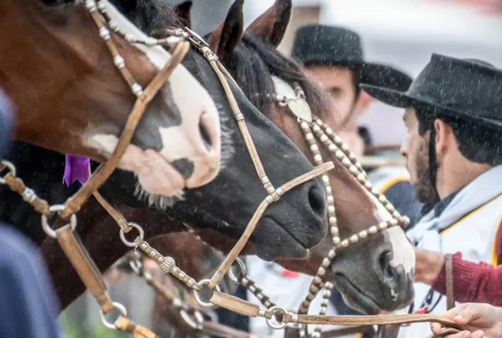 Pista do Cavalo Crioulo ganha recuperação completa e modificações na estrutura